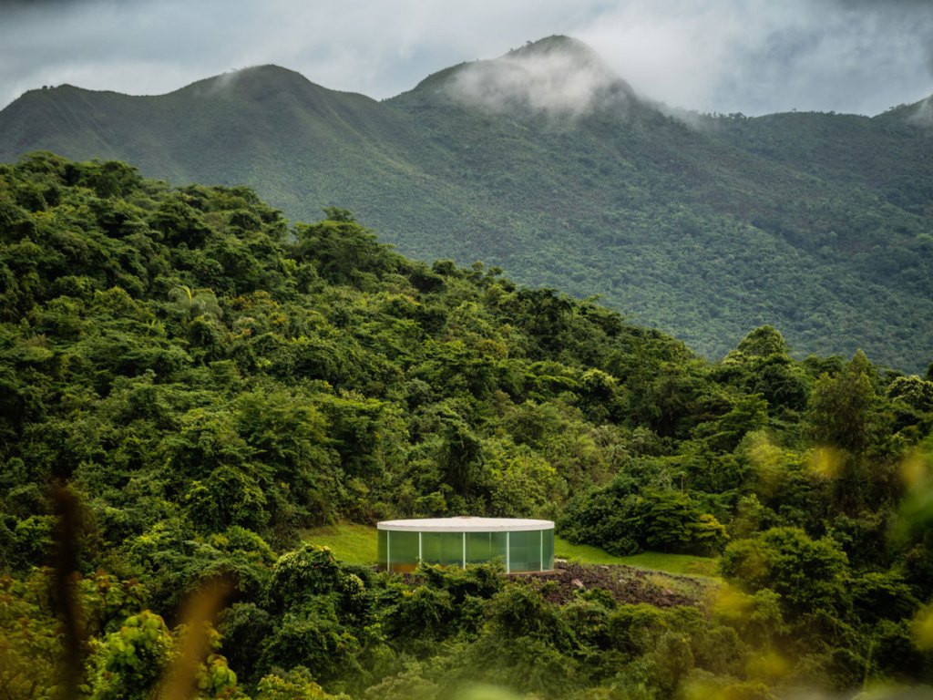 Brazil’s Inhotim Marks 20 Years and Looks to a Future Beyond Its Founder